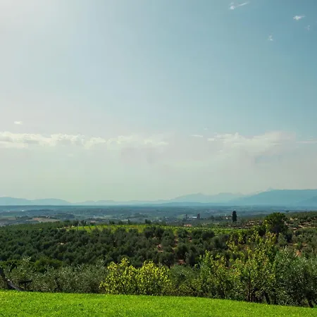 Joyamia Villa Vinci